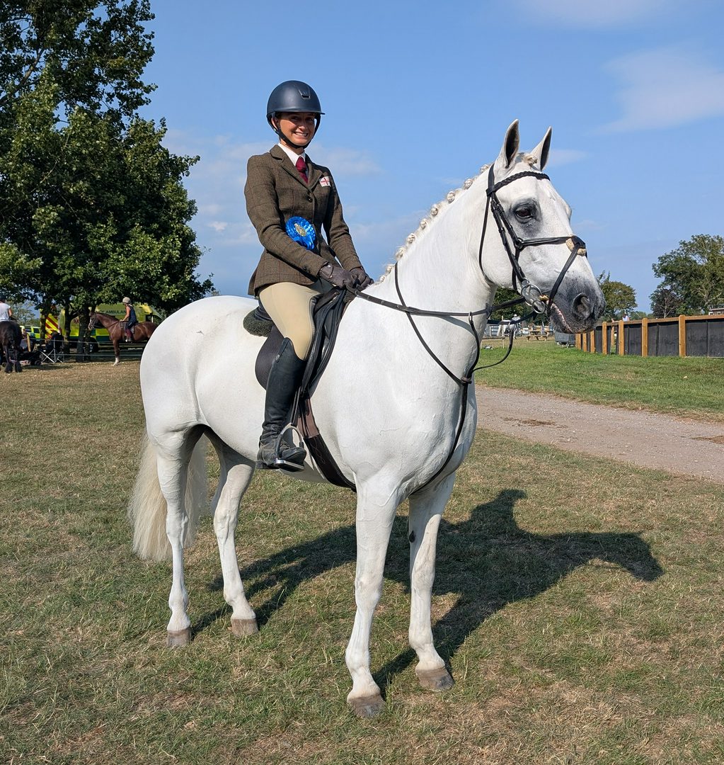 A winning grey 153cm working hunter pony stood outside the ring at Hickstead's Royal International Horse Show