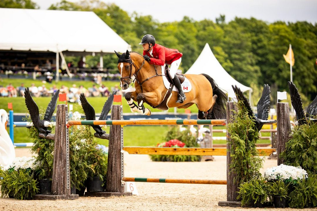 چهار نعل: پیروزی تولد Sean Jobin در Grand Prix CSIO 3* با Arkuga