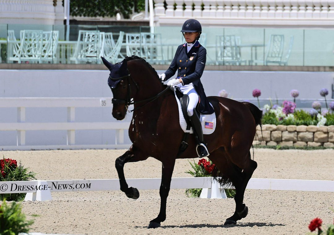 چهار نعل: 19 تیم ملی و 17 سوارکار در فهرست نهایی حضور در World Championships درساژ Aachen