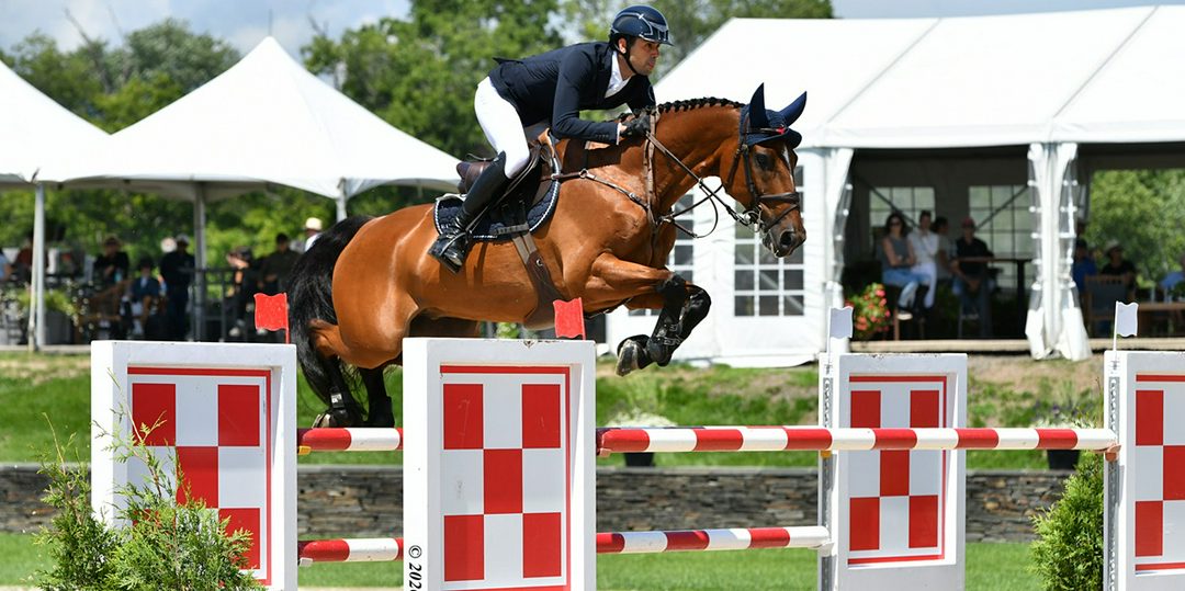 چهار نعل: Nayel Nassar با Igor van de Wittemoere قهرمان دیگر Purina Grand Prix CSI 3* شد