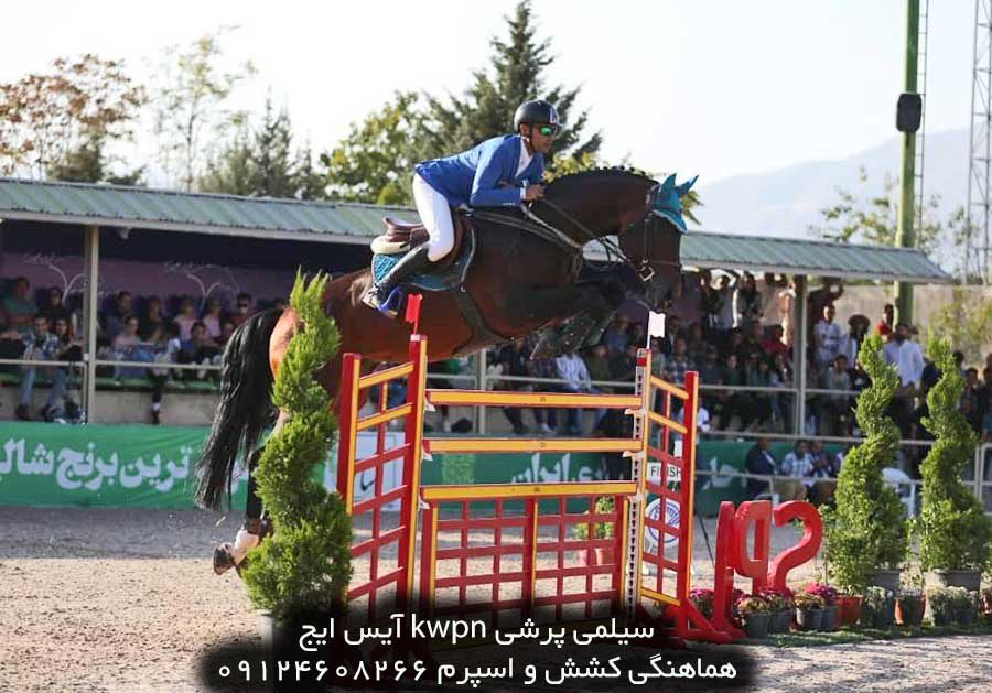 چهار نعل: سیلمی پرشی kwpn آیس ایج