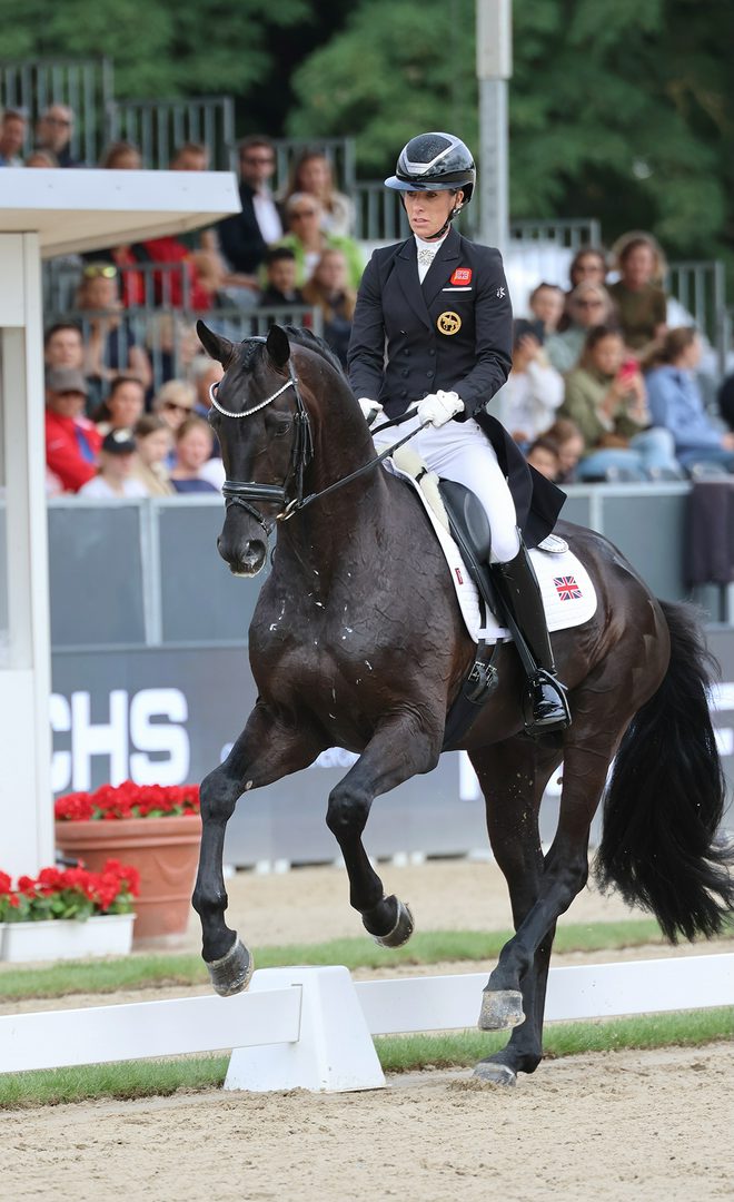 چهار نعل: Charlotte Dujardin با Secret Agent در نخستین انتخابی قهرمانی جهانی اسب‌های جوان ۷ ساله‌ها پیروز شد