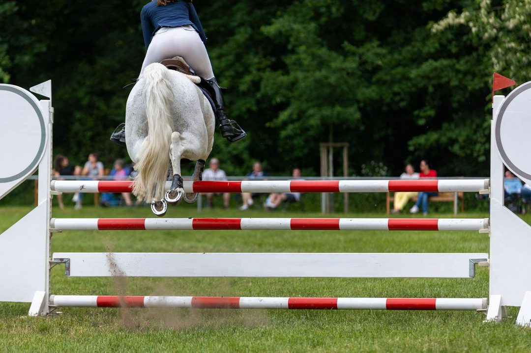 چهار نعل: لغو قهرمانی‌های British Riding Clubs در پی خشکی زمین‌ها و آماده‌سازی نامناسب مسابقه