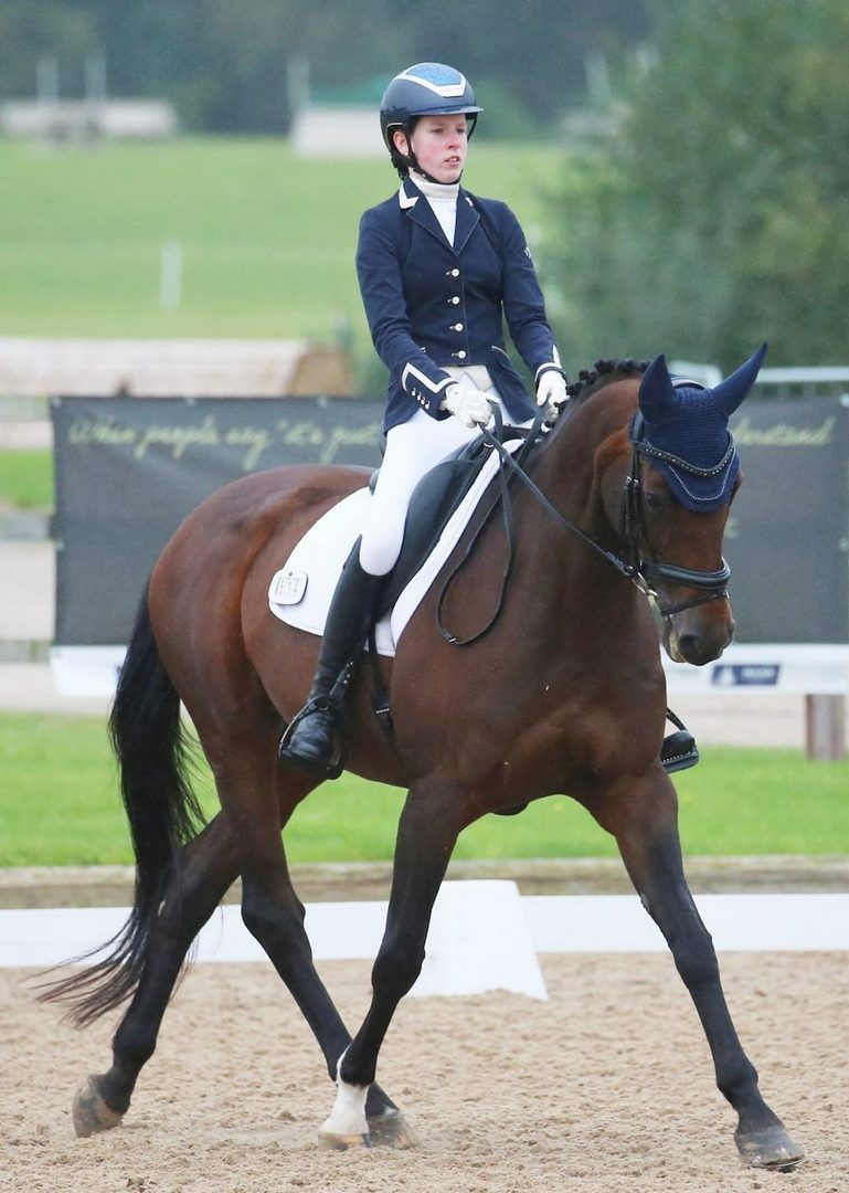 Image shows Vanir Kamira, a bay horse, doing dressage in a sand arena while being ridden by her new rider, Annabelle Wesley