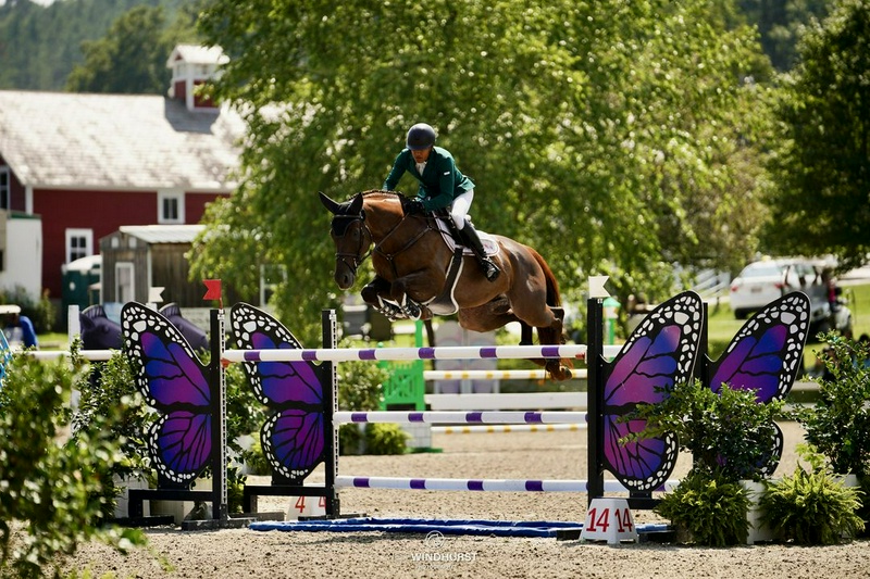 چهار نعل: Gymnastics brought the Thoroughbred horse "Even Better" to the Grand Prize.