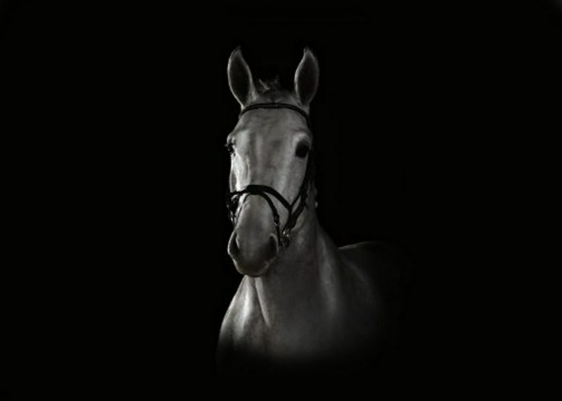منبع: avicennastall.com