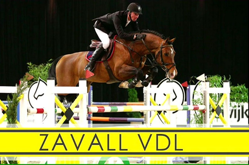 منبع: avicennastall.com