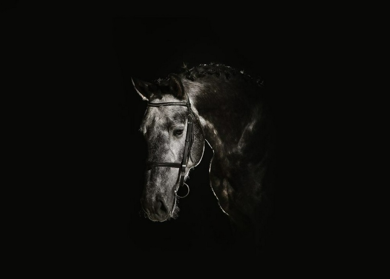 منبع: avicennastall.com