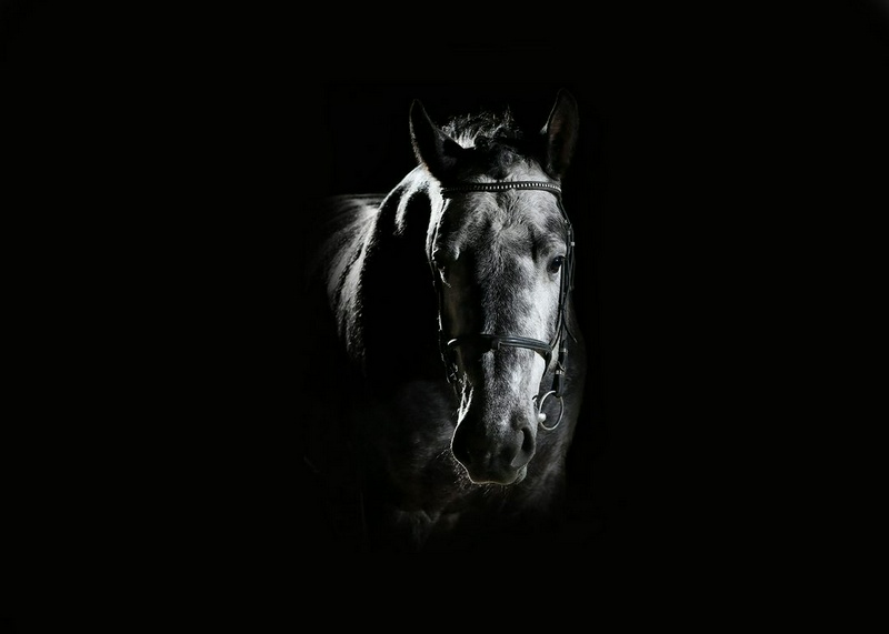منبع: avicennastall.com