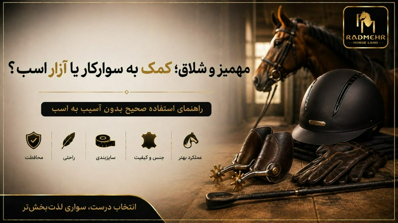 چهار نعل: المهميز والسوط؛ أدوات عقاب أم لغة التواصل مع الحصان؟