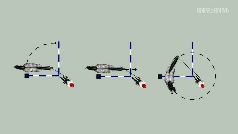 چهار نعل: Three 10-minute exercises with two poles to strengthen the horse from the ground