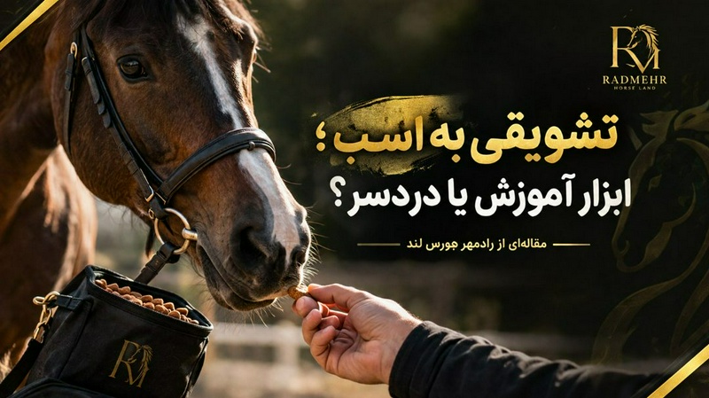 چهار نعل: تشویقی به اسب؛ ابزار آموزش یا دردسر؟