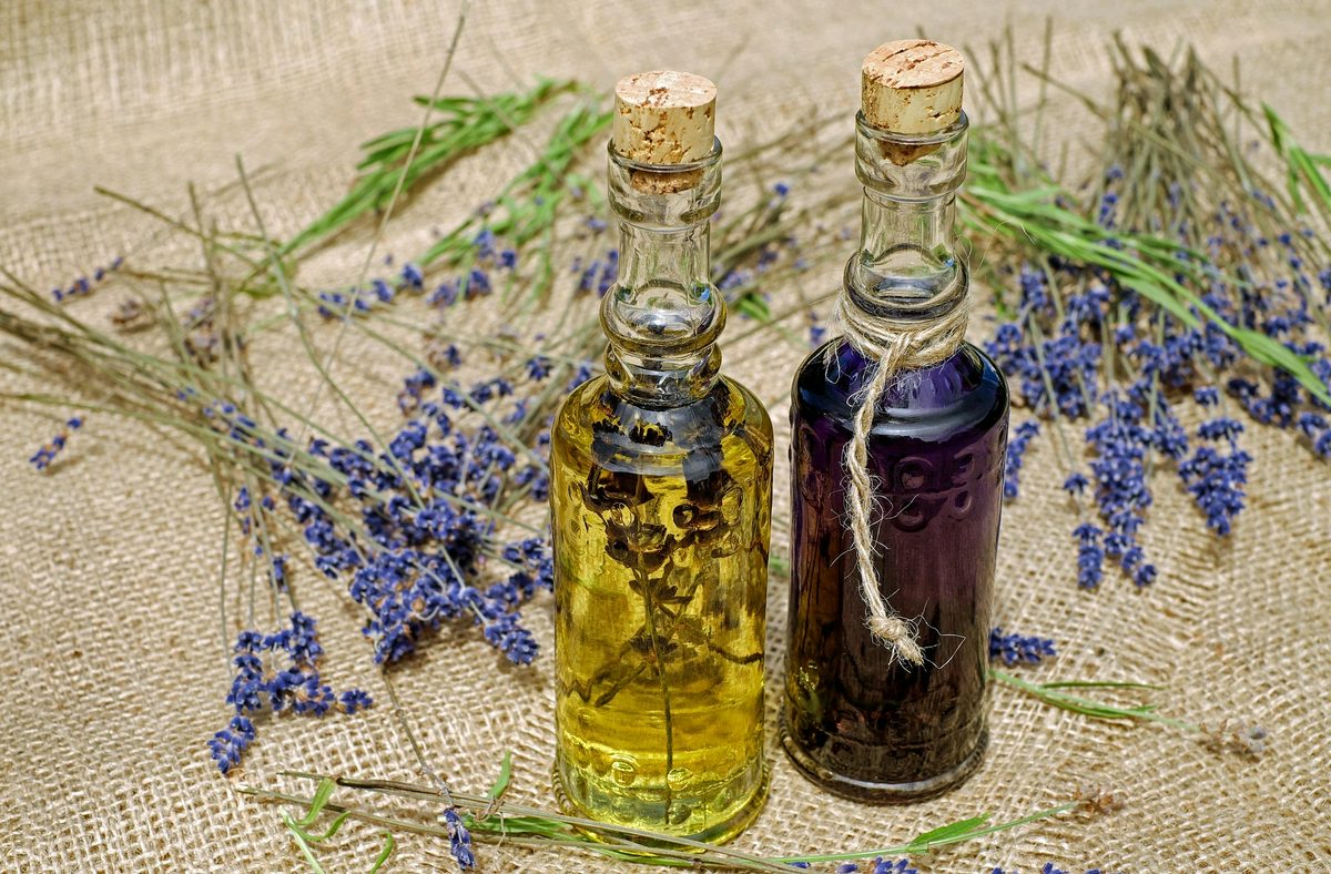 چهار نعل: هومیوپاتی برای اسب‌ها چیست و شواهد علمی درباره آن چه می‌گوید؟