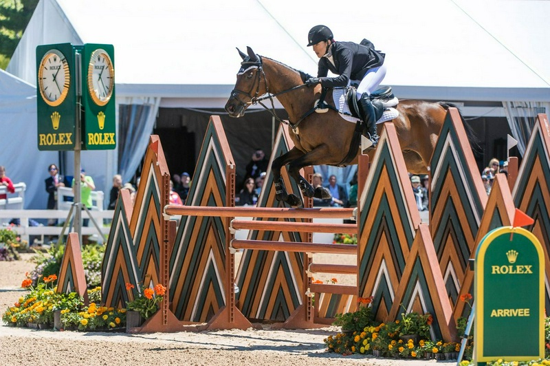 Chaharnal: The path to reaching high levels of equestrianism with a limited budget.