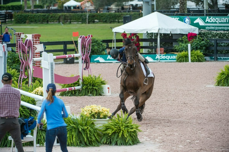Chaharnal: Controlling a runaway horse begins with building trust.