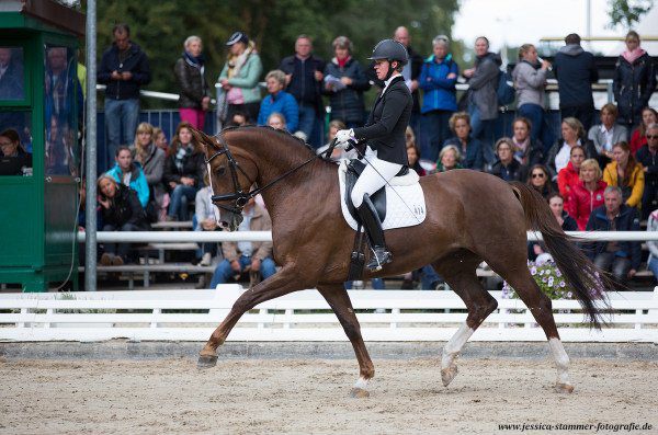 Chaharnal: Wolfram Wittig's formula for breeding dressage horses