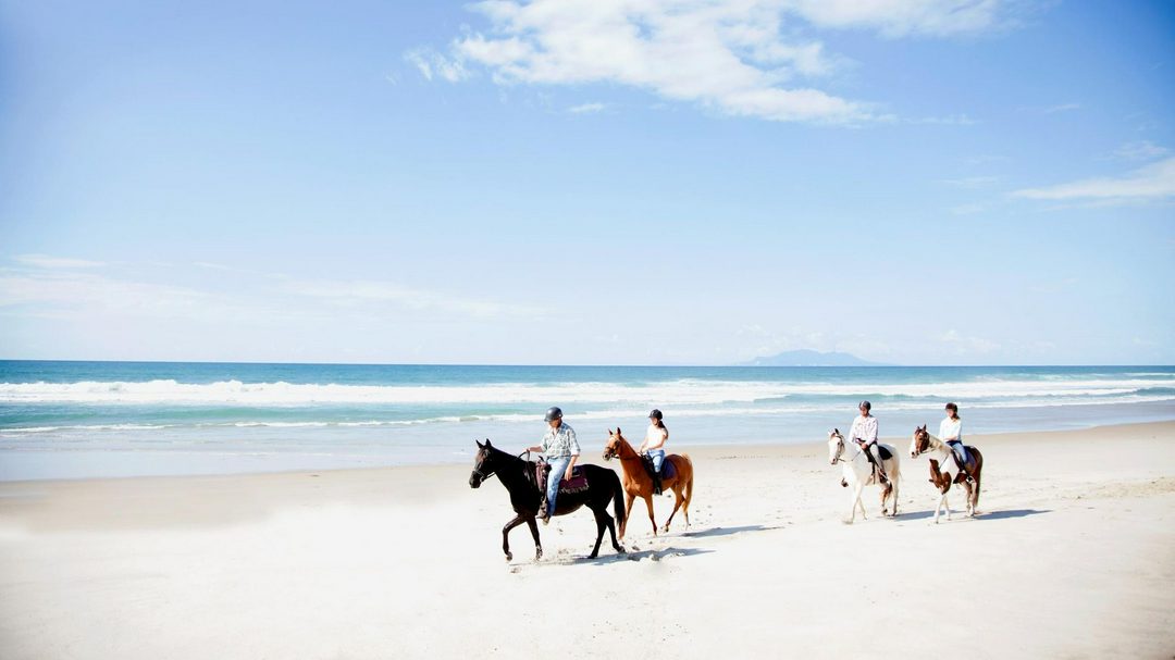 landscape view four riders hacking on a white sand beach