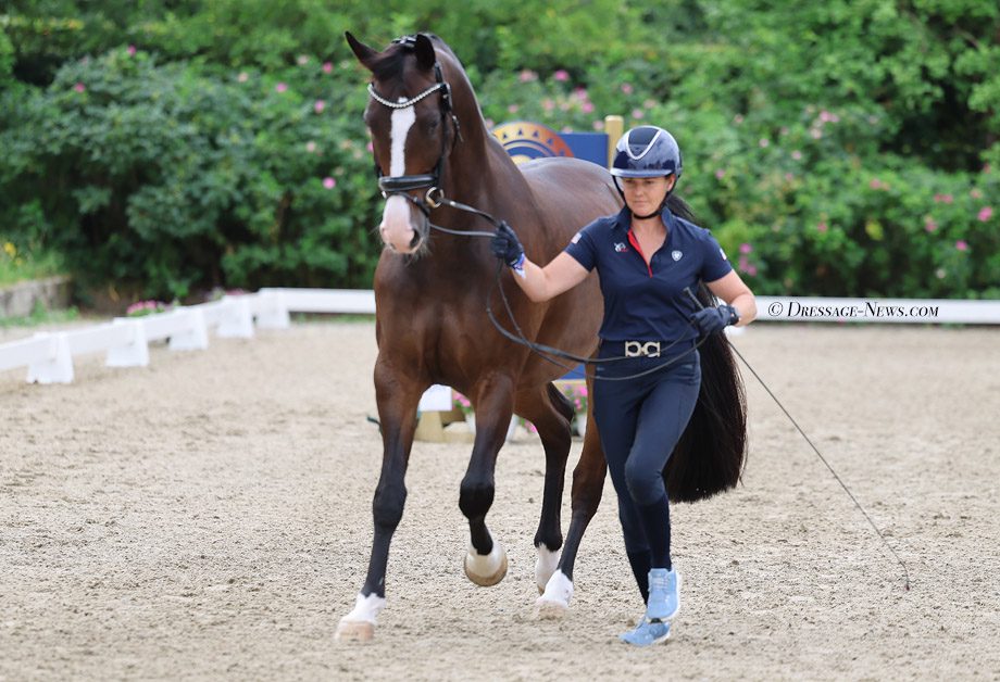 چهار نعل: USA Dressage Nations Cup Team Experiencing Mixed Fortunes Before Start