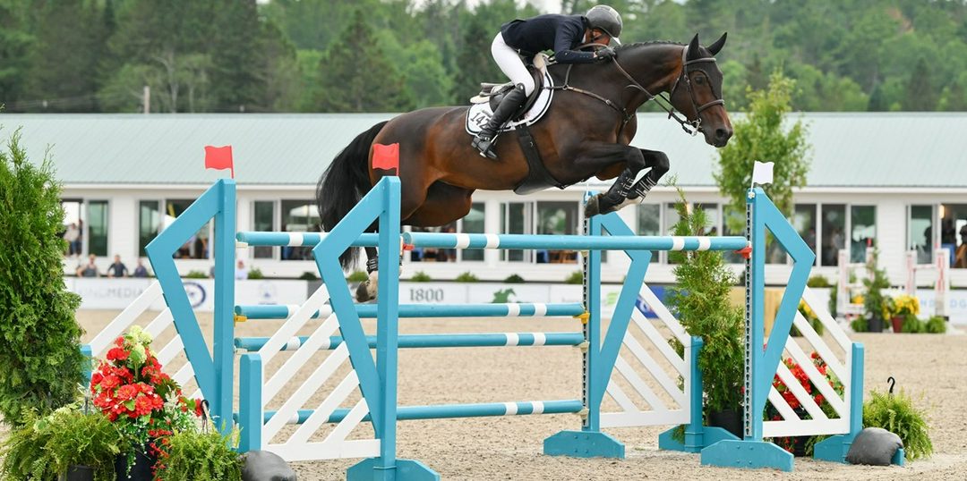 چهار نعل: پیروزی Molly Ashe Cawley در گرند پریکس $100,000 Richard Feldman CSI 3* در Lake Placid