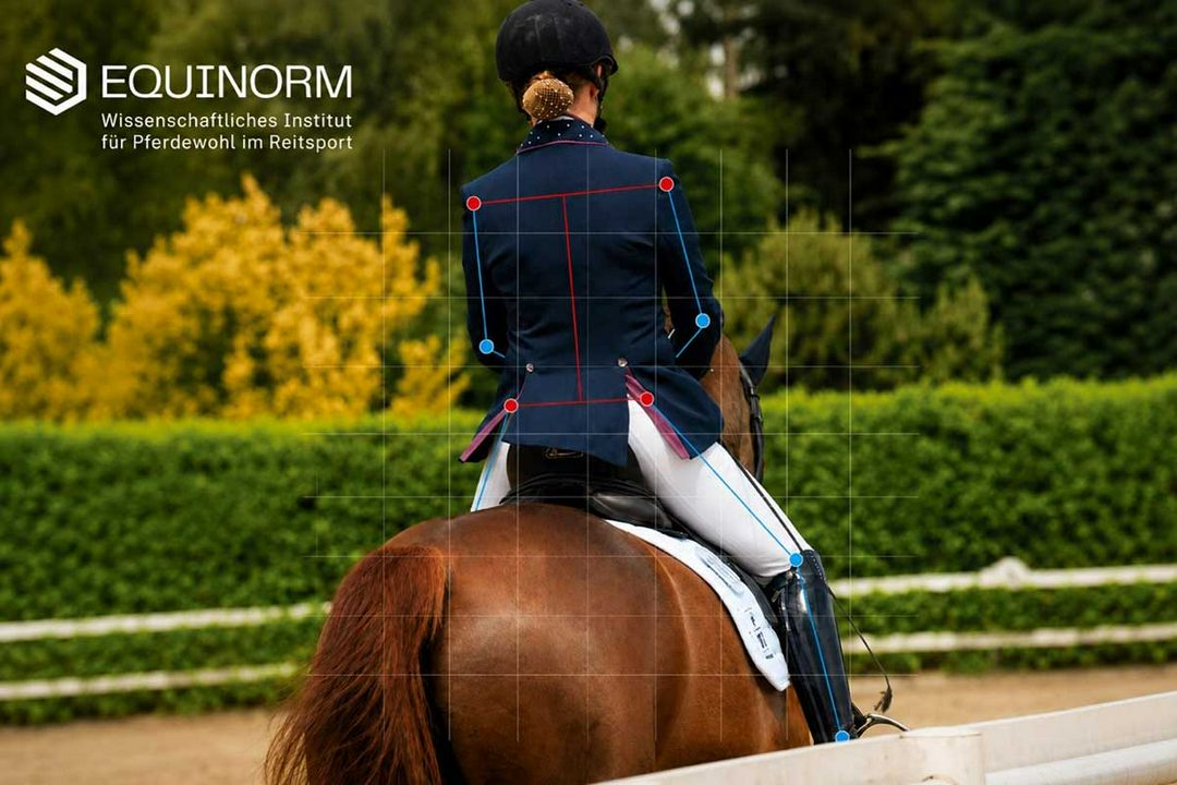 چهار نعل: همکاری Pferdesport Deutschland با EQUINORM برای توسعه استانداردهای سوارکاری