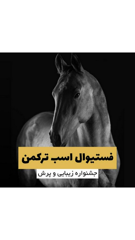 پادکست چهار نعل: اپیزود سی و پنجم رادیوچهارنعل،تحلیل جشنواره و مسابقات اسب ترکمن در باشگاه سوارکاری غزالی.