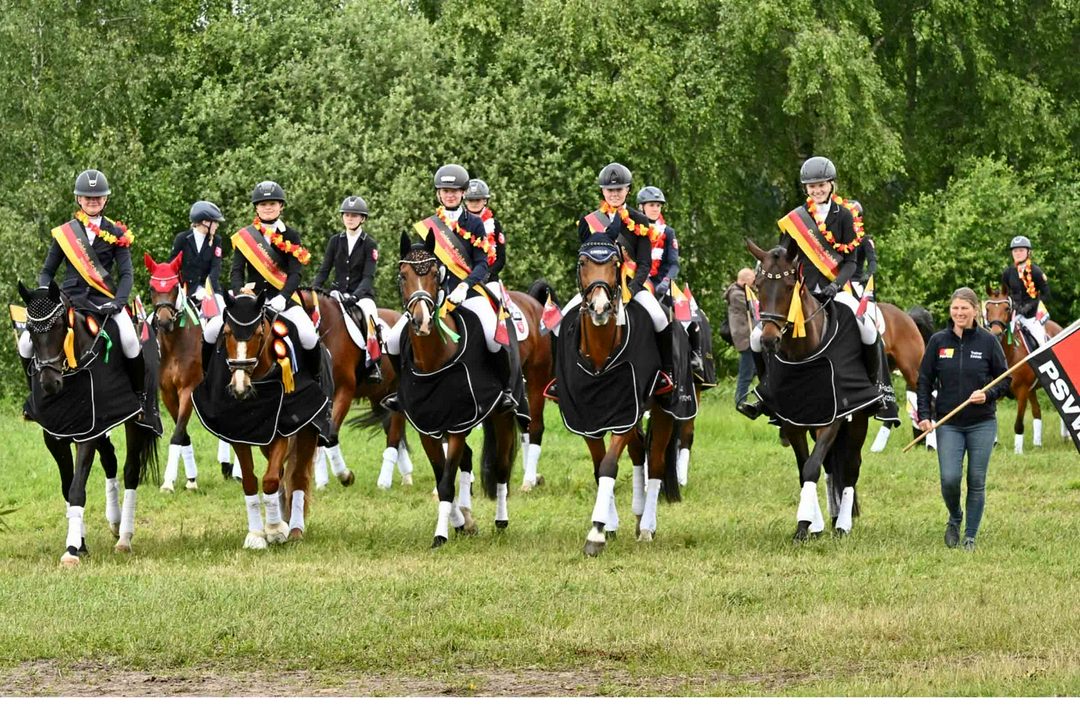 چهار نعل: پیروزی تیم Weser-Ems I در مسابقات Goldene Schärpe Pferde