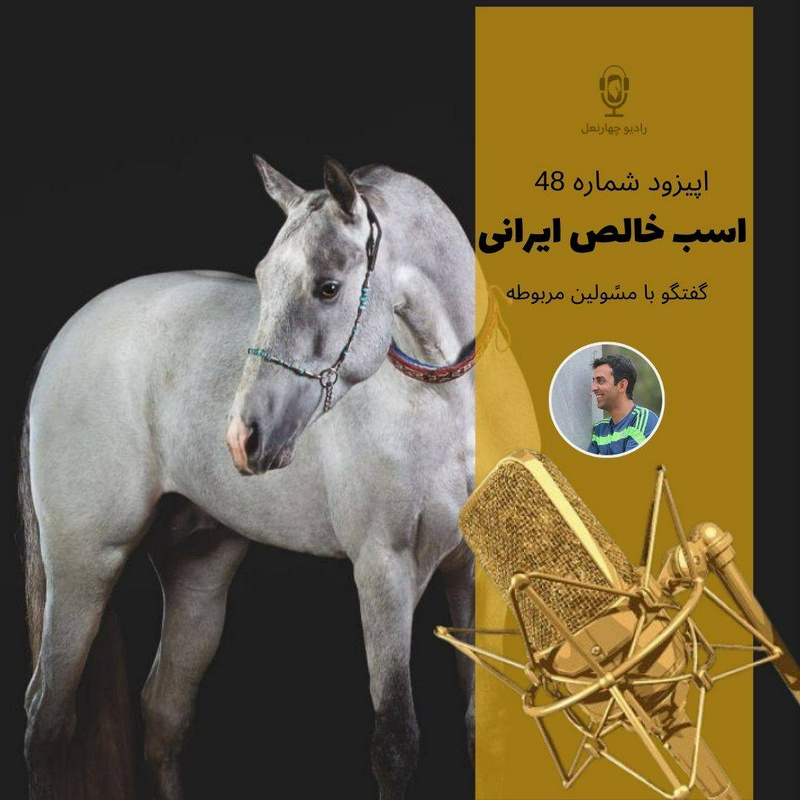 پادکست چهار نعل: اپیزود چهل و نهم راديوچهارنعل، گفتگو درباره اسب خالص ایرانی، چالش ها و مشکلات و همینطور آینده نژاد های خالص ایرانی.