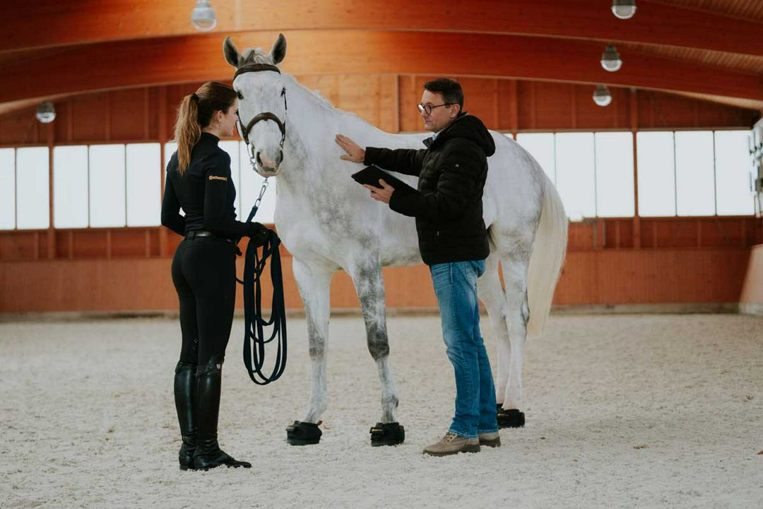 چهار نعل: همکاری Pferdesport Deutschland با شرکت consteed