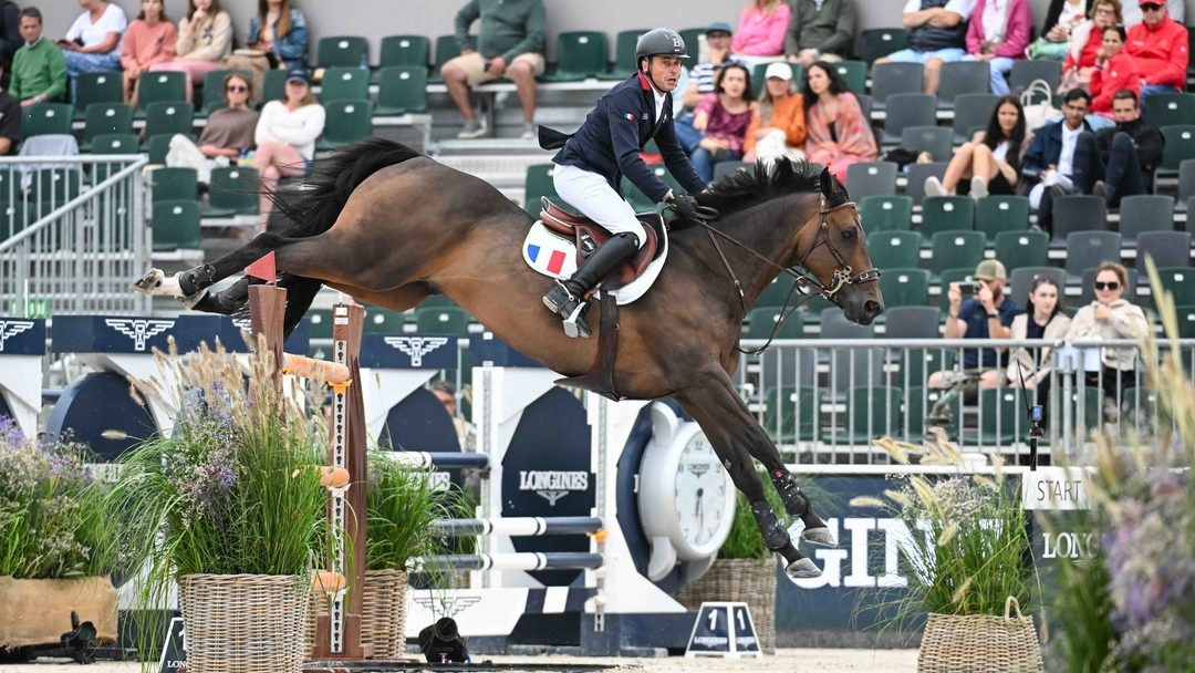 A bay horse wearing a white saddle pad displaying the French flag landing from an oxer.