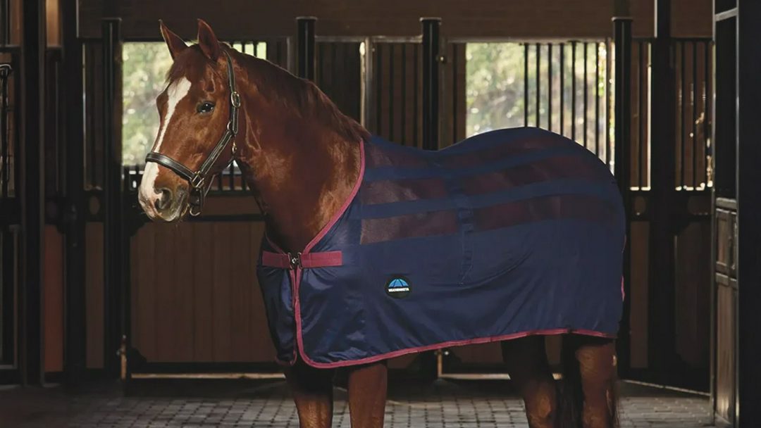 WeatherBeeta Scrim Cooler Standard Neck 