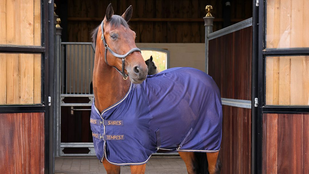 Shires Tempest Original Mesh Cooler Rug