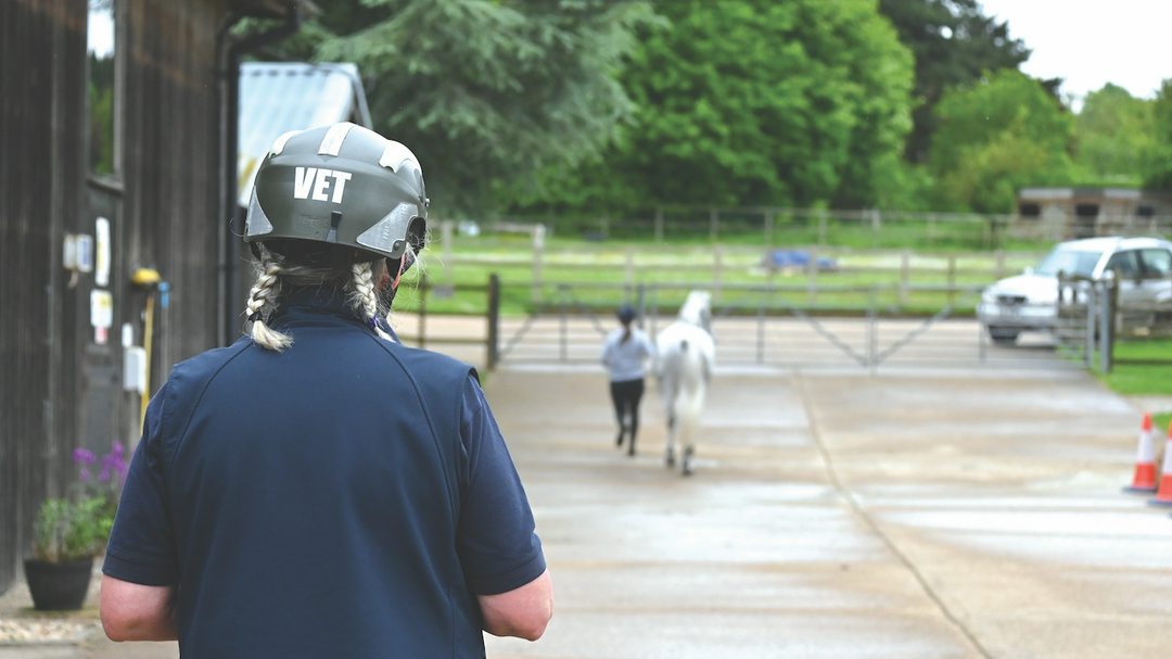 A vet watching a horse trot up as part of a pre-purchase vetting