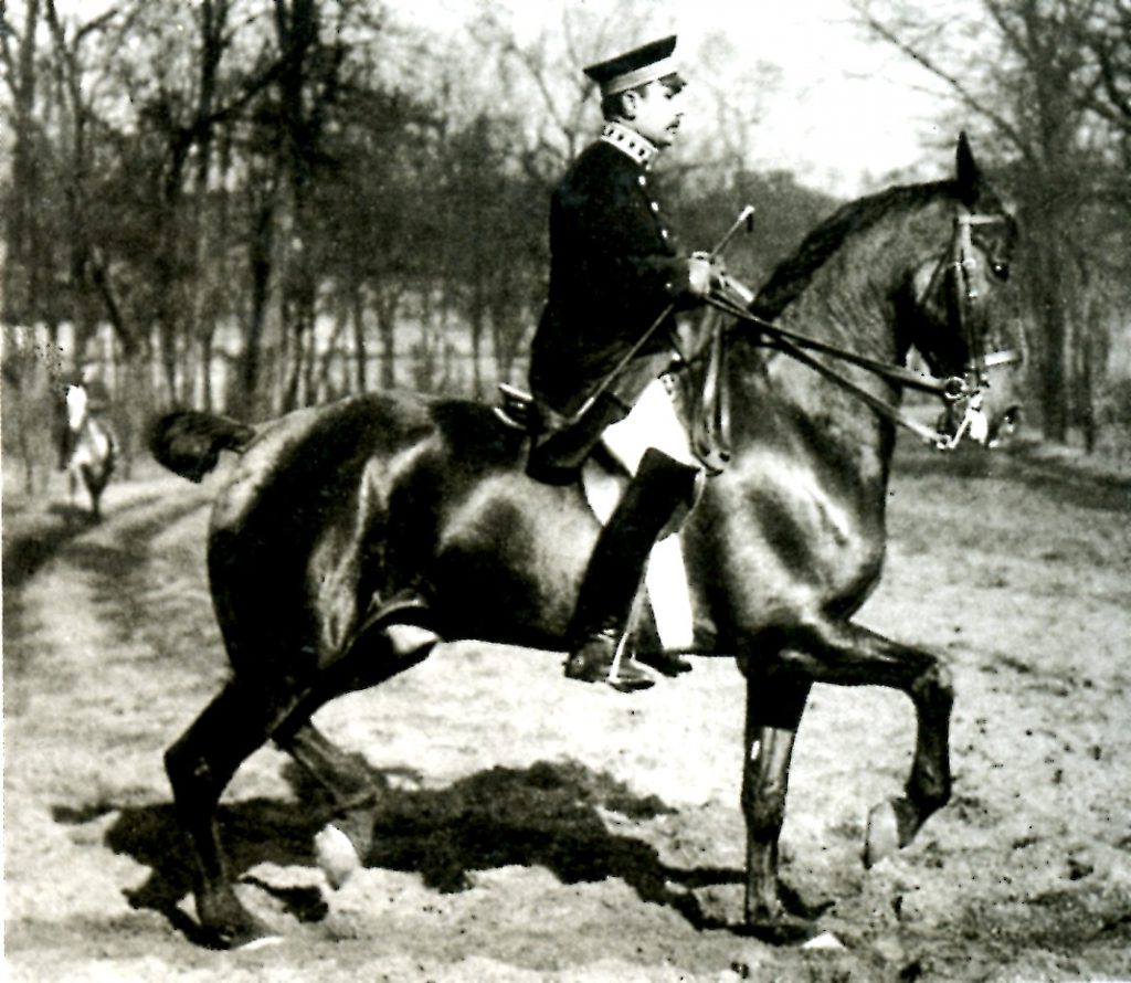 Otto Lörke و Fanal