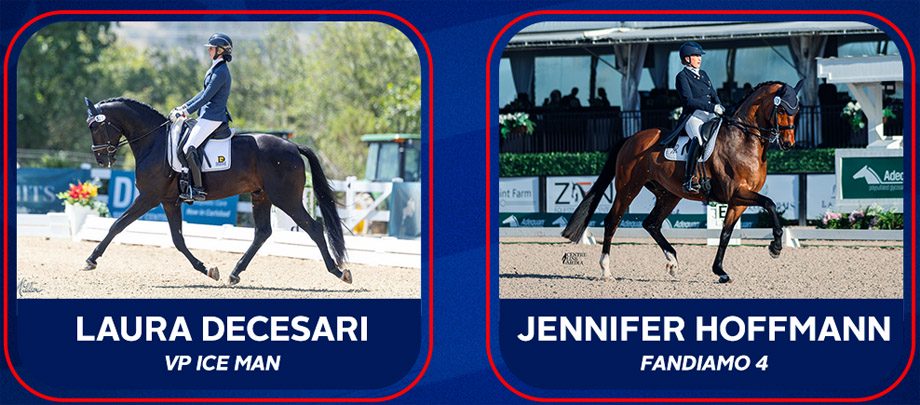 چهار نعل: USA دو horse را برای World Young Horse Championships معرفی کرد