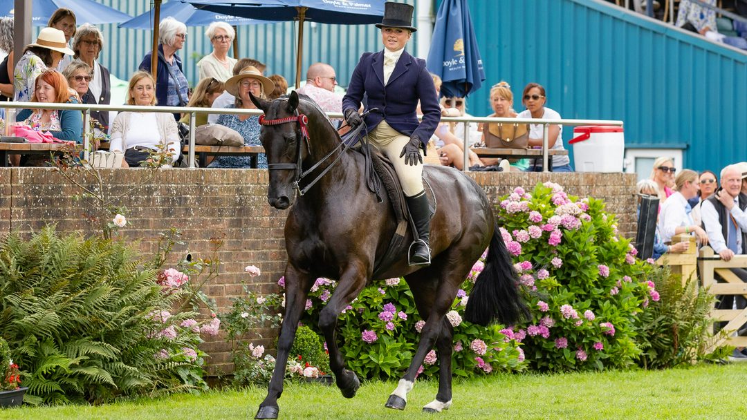 Reserve champions Cleopatra and Elliee Stunt canter along the front of the crowd in the 2025 Royal International hack championship