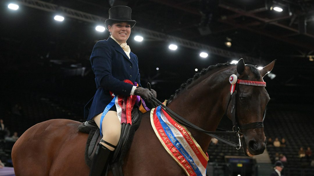 Smaller-HOYS-2025-photo-of-R2R-winner-e1775570960112.

jpg
