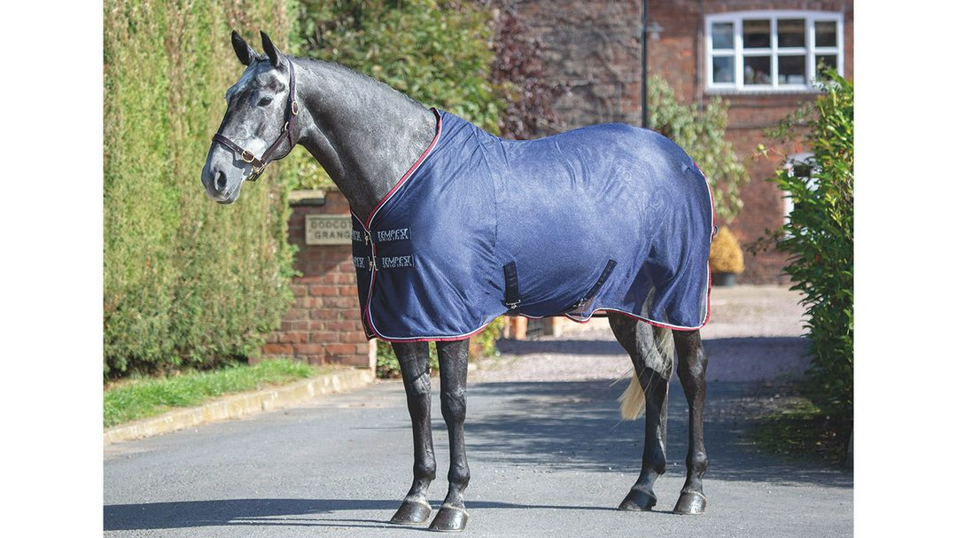 Shires Tempest Original mesh cooler rug