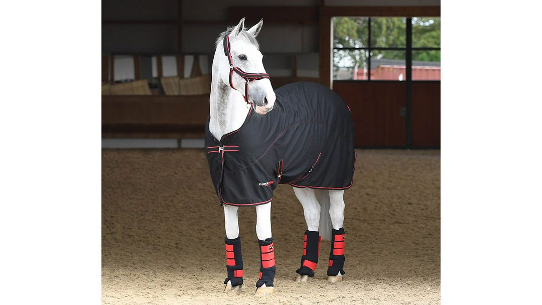 Protechmasta therapy cooler rug