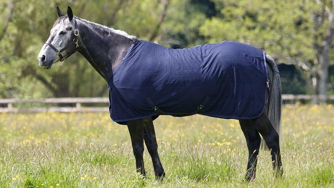 Equine Products UK mesh and fleece cooler rug for horses