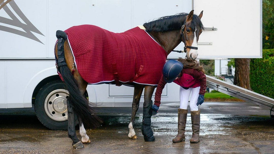 چهار نعل: ۷ cooler rug مناسب برای اسب شما