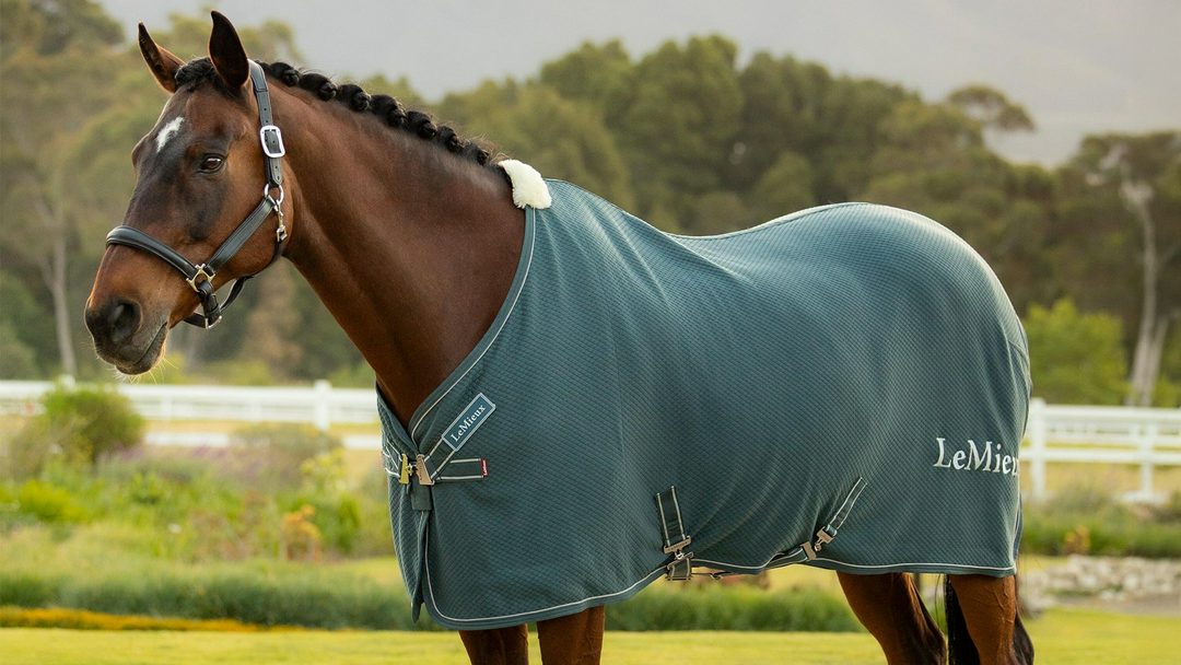 LeMieux Kudos Bamboo Cooler Rug