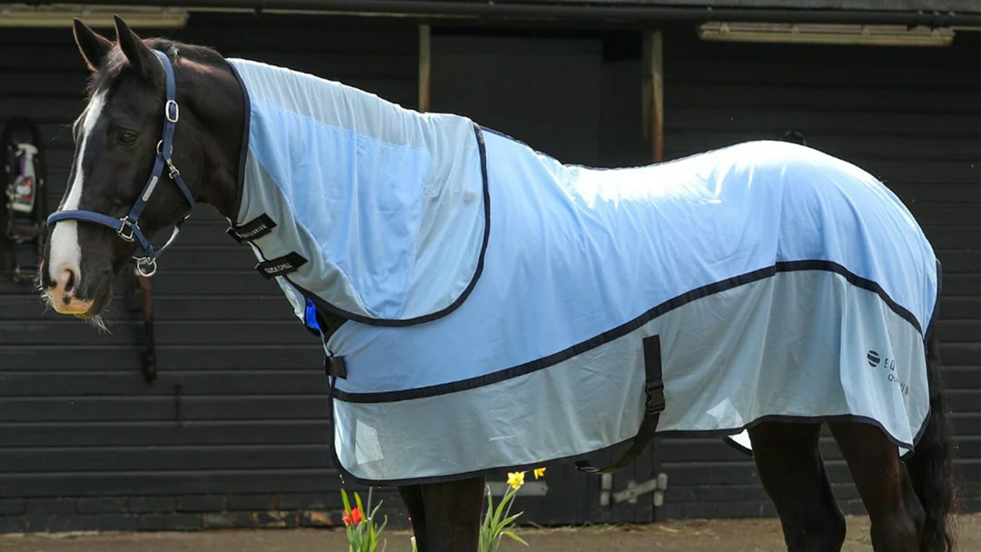 Equilibrium Quick Chill Rug
