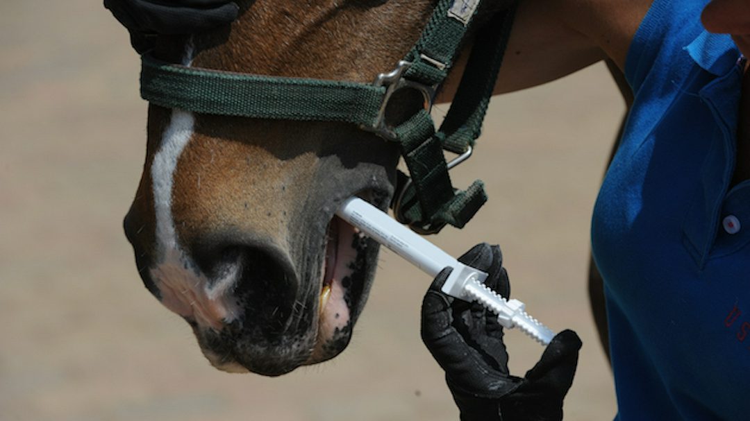 Worming2.

jpg