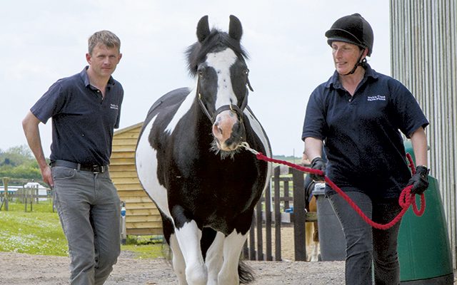 1-trotting-up-for-main.

jpg