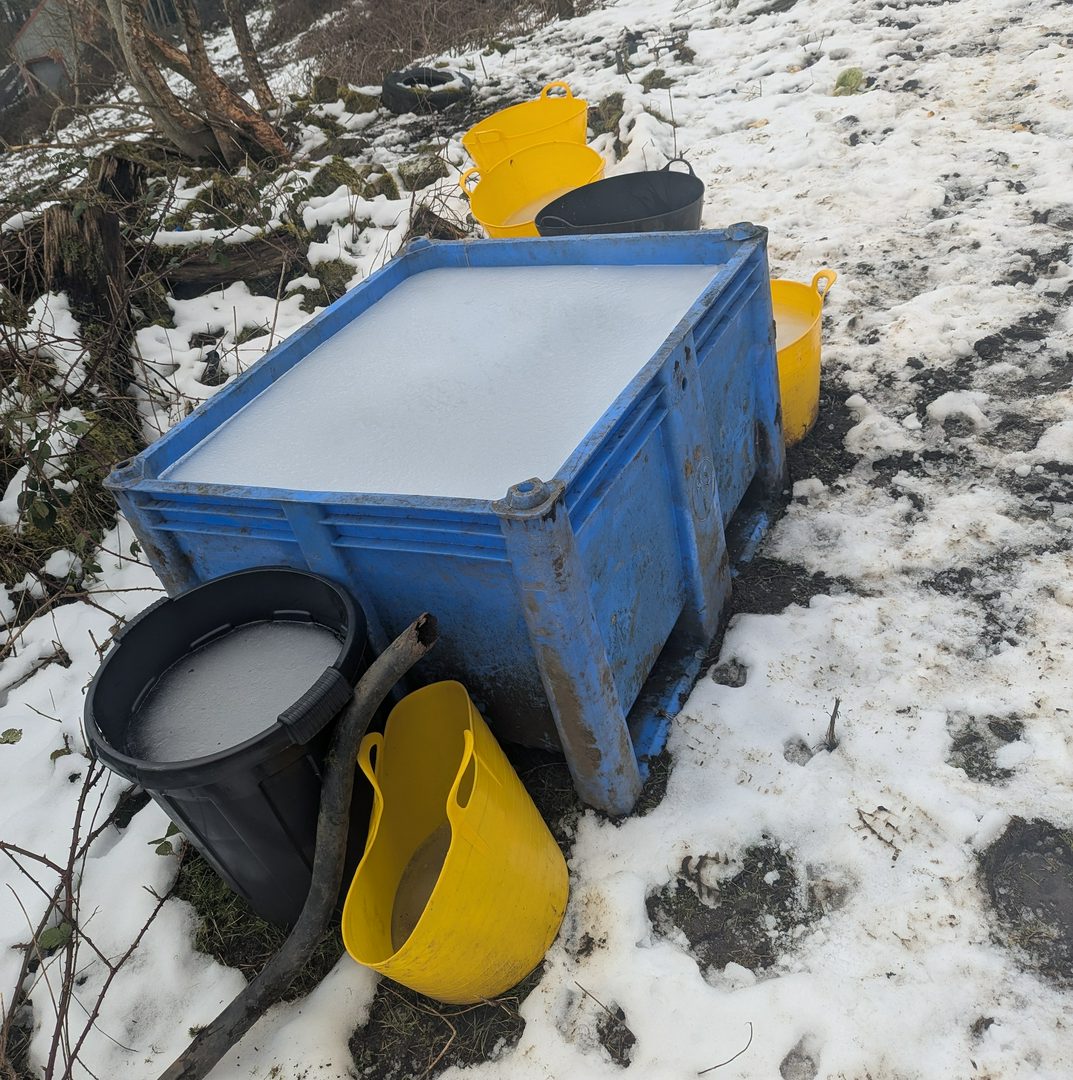 The frozen water containers