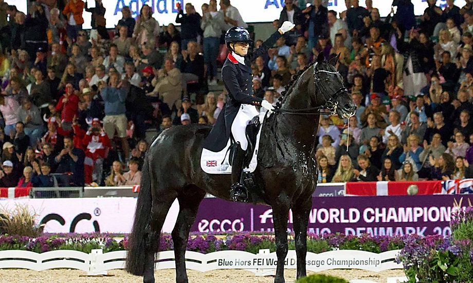 چهار نعل: اعلام ترکیب تیم درساژ Britain برای World Championships