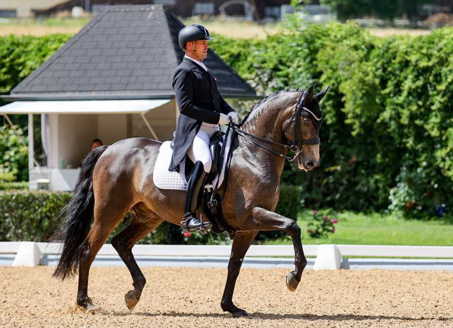 چهار نعل: Stefan Lehfellner با L’Espoir در Achleiten Dressage Festival عنوان CDI3* گرند پری را برد