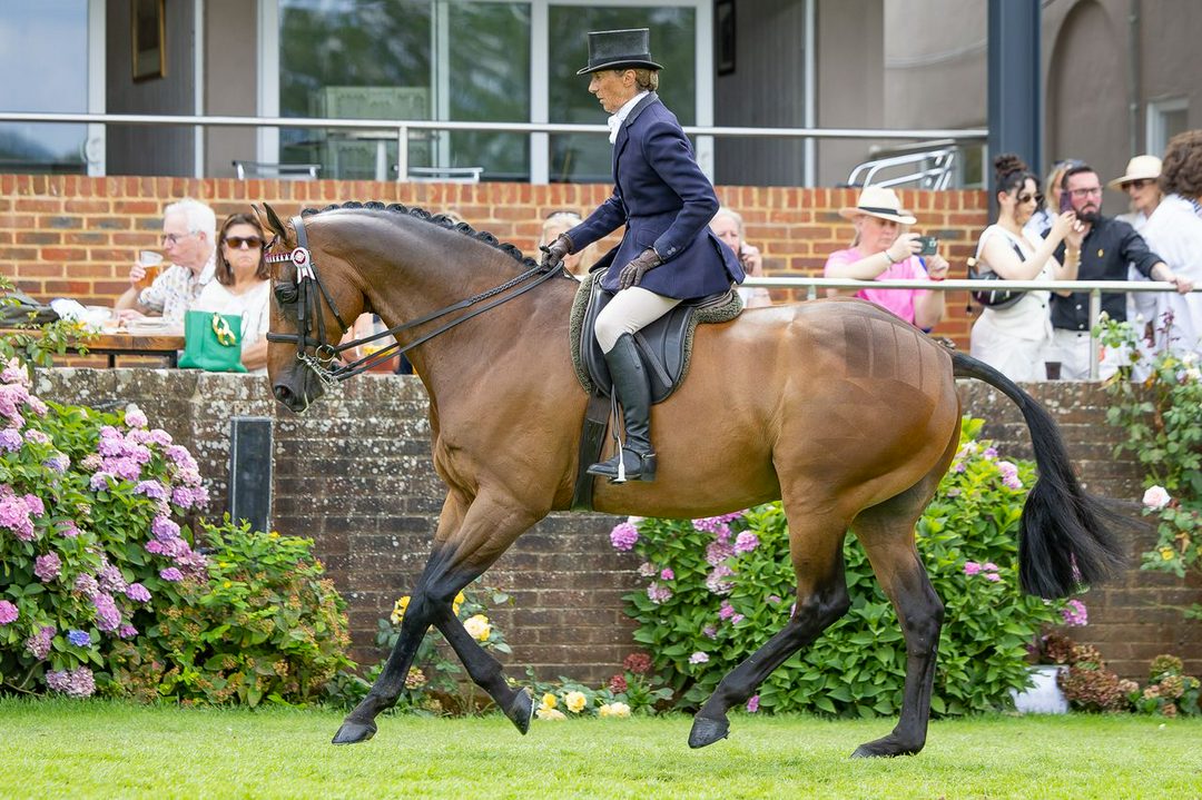 چهار نعل: «می‌توانست با این گالوپ در Royal Ascot برنده شود»: Ladies Man عنوان برتر اسب سواری را در Royal International به دست آورد