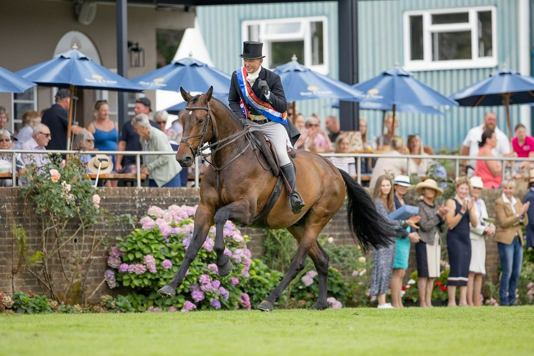 چهار نعل: Adam Taylor با Loughview Verdis Dream عنوان برتر درساژ کاری Royal International را برد