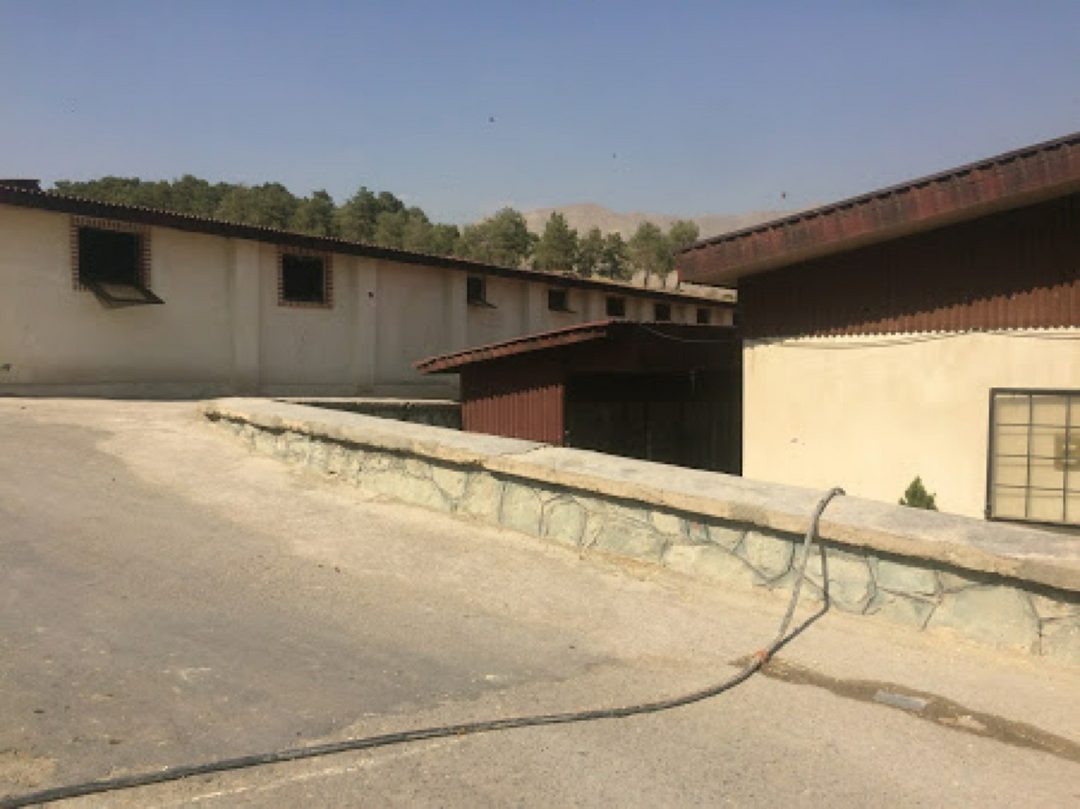 باشگاه سوارکاری بام